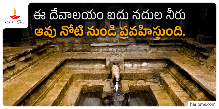 Water from five rivers flows from the Gomukha