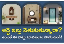 Check these Vastu tips before moving into a rental home | అద్దె ఇంటికి వెళ్లే ముందు ఈ వాస్తు చిట్కాలను అనుసరించండి vastu tips for rental house