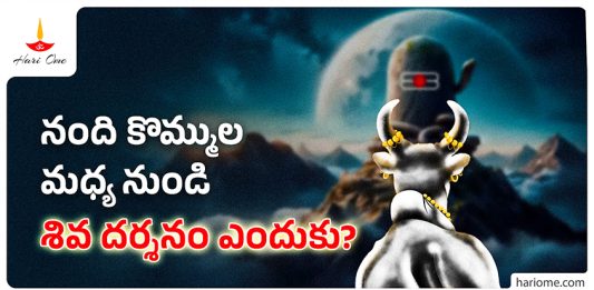 Why is Shiva seen through the bull's horns?
