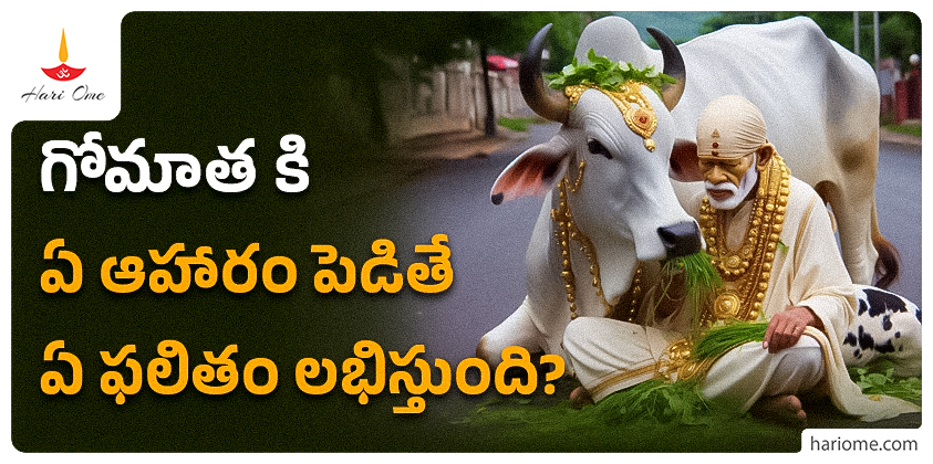Positive Outcomes of Offering Specific Foods to Cows