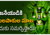 Betel leaf garland for Hanuman | ఆంజనేయుడికి తమలపాకుల మాల ఎందుకు సమర్పిస్తారు? Betel leaf garland for Hanuman