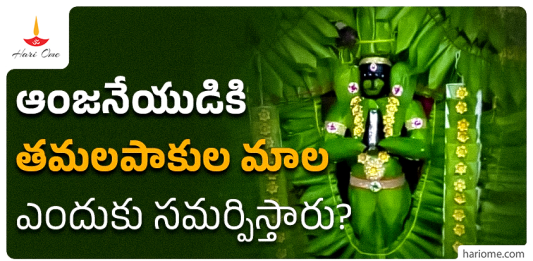 Betel leaf garland for Hanuman