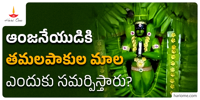 Betel leaf garland for Hanuman 