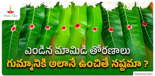 Mango Leaves