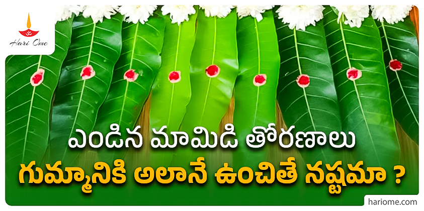 Mango Leaves