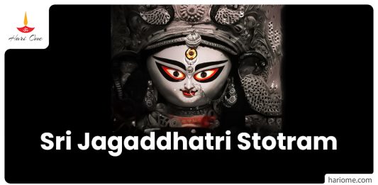 Sri Jagaddhatri Stotram