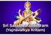 Sri Saraswati Stotram (Yajnavalkya Kritam) in English Sri Saraswati Stotram Lyrics in English