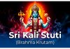Sri Kali Stuti (Brahma Krutam) in English Sri Kali Stuti (Brahma Krutam)