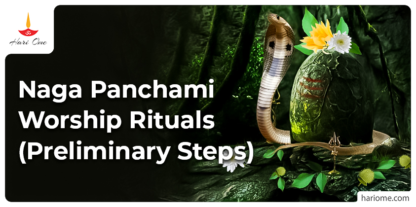 Naga Panchami Worship Rituals (Preliminary Steps)