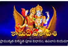 Kamada Ekadasi 2025 | కామద ఏకాదశి కథ ప్రాముక్యత విశిష్టత పూజ విధానం, ఉపవాస నియమాలు? Kamadha Ekadasi date and rituals