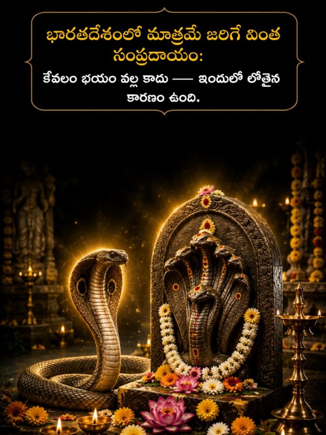 నాగ పంచమి రహస్యం: పాములను ఎందుకు పూజిస్తారు? భయం కాదు.. దీని వెనుక ఉన్న అసలు కారణం ఇదే!
